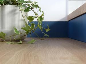Fotografie z fotogalerie ubytování Voula Seaside Apartments v destinaci Kallithea