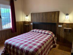 ein Schlafzimmer mit einem Bett mit einer karierten Decke in der Unterkunft Apartamento Rural Sierra de Segura in Segura de la Sierra