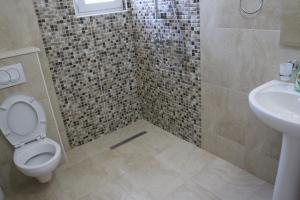 a bathroom with a shower with a toilet and a sink at Zigovic Apartmani in Bar