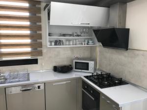 Кухня или мини-кухня в Karia Plus City Apartments
