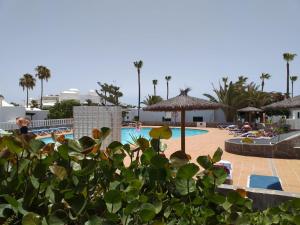 Photo de la galerie de l'établissement Bungalow DALAI - Pool view- Good wifi, à Puerto del Carmen
