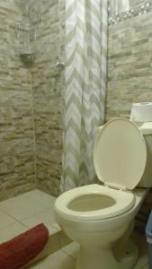 a bathroom with a toilet and a shower at B&B Chayana Wasi in Ollantaytambo +73 photos