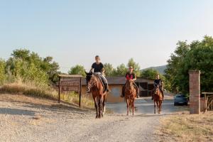 three people riding horses down a dirt road at Agriturismo Poggio del Pero in Panicale