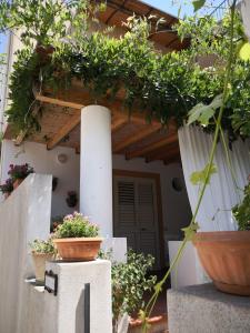 Gallery image of Casa Michelina in Lipari +18 photos