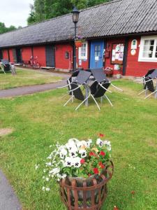 Zahrada ubytování STF Långasjö Vandrarhem
