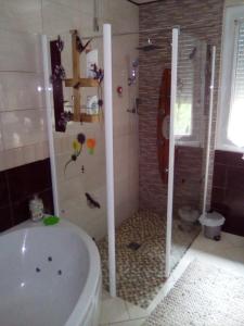 a bathroom with a tub and a shower with a toilet at la dabinerie in Pruniers