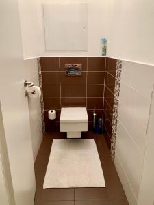 a small bathroom with a toilet and a sink at Modern apt, parking in garage and walk to town in Bratislava