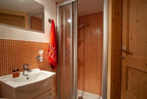 W łazience znajduje się umywalka i prysznic. w obiekcie Mountain Loft w mieście Tarvisio
