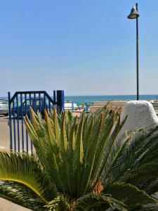a palm tree in front of a beach with a street light at Monolocale Tirreno studio seafront in Formia