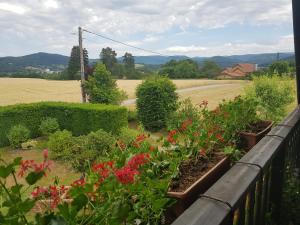 a garden with flowers and bushes on a balcony at Le Clos des Aulnes in Anould