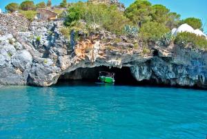 Φυσικό τοπίο κοντά σε αυτό το διαμέρισμα +16 φωτογραφίες