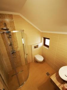 a bathroom with a shower and a toilet and a sink at BBS Residence in Cluj-Napoca
