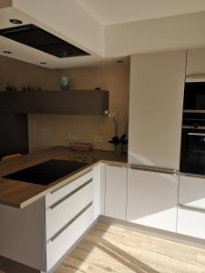  La cuisine est équipée de placards blancs et d'un réfrigérateur. dans l'établissement Duplex cozy, à Montigny-lès-Metz