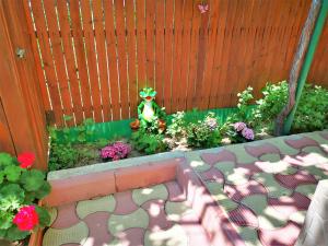 Gallery image of Casa Nelu Pescaru in Mahmudia