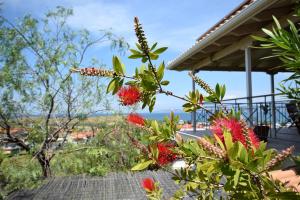 Vonkajšia záhrada v ubytovaní Corinthian Sun - Vacation Home