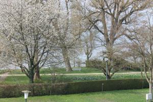 a park with trees and a hedge and a field at Nahe am See in Überlingen