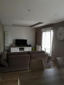 uma sala de estar com um sofá e uma televisão em Duplex cozy em Montigny-lès-Metz