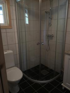 a bathroom with a shower with a toilet at Fauske Camping & Motel in Fauske