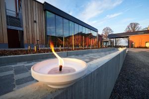 a fire fountain in front of a building at OFF in Wavre