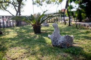 Zahrada ubytování Apartman Marcela