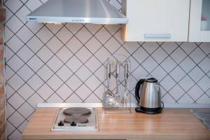 a kitchen counter with a stove and a blender at Apartman Marcela in Rab
