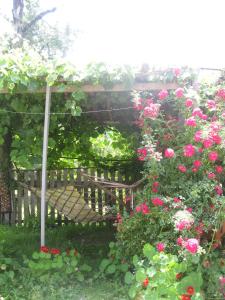Giardino di Guest House Latali