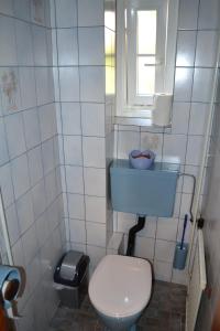 a small bathroom with a toilet and a window at Gingin- rooms in Hallstatt