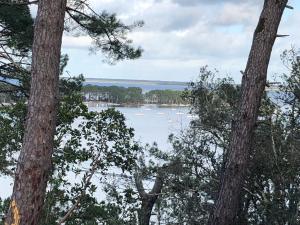 Gallery image of bel appartement classé entre lac et mer en pleine forêt in Carcans