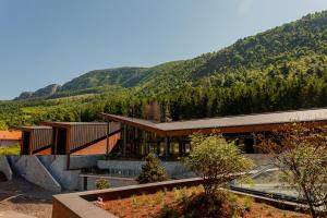un grande edificio con una montagna sullo sfondo di Hotel Ramonda a Boljevac