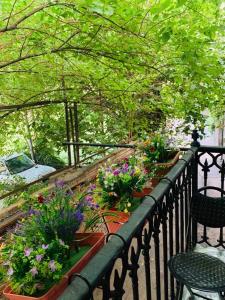 Κήπος έξω από το City Guli Hostel