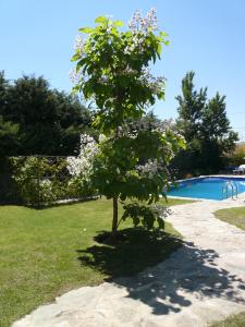 Imagen de la galería de The Yellow House, en Mataelpino