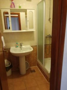 トゥチェピにあるApartmani JANADORAの洗面台とシャワー付きのバスルーム