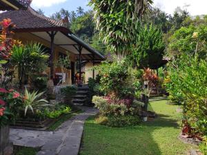 a garden in front of a house with plants at Rijasa Homestay in Tirtagangga