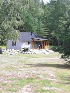 a house in the middle of a yard with trees at Aablaranna Puhkemaja in Kolga-Aabla