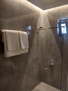 uma casa de banho com um chuveiro e uma porta de vidro em Villa Gusta em Thólos