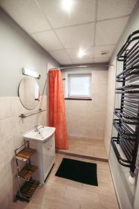 a bathroom with a sink and a mirror at 40 Saules in Ventspils
