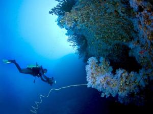 a person swimming in the ocean next to a reef at Casa Regreso in Calafat