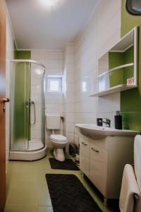 a bathroom with a shower and a toilet and a sink at Vila Paltinis in Păltiniş +42 photos