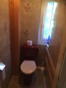 a small bathroom with a toilet and a shower at Appartement Georg in Unterburg am Klopeiner See