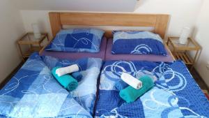 1 cama con 2 camas individuales y almohadas en Roubenka U Třeboně, en Domanín