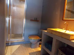 a bathroom with a toilet and a shower and a sink at La Rosière in Auzelles