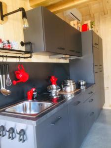 Η κουζίνα ή μικρή κουζίνα στο Boerderaaj vakantiewoning