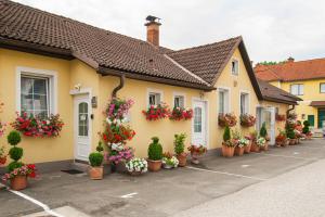 una fila de casas con flores y macetas en AusZeit Leoben 1 mit Terasse und gratis Parkplatz, en Leoben