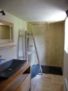 ボニューにあるLa Magnanerieのバスルーム(シャワーの横にはしご付) +29枚の写真