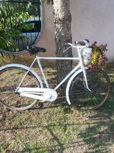 Jazda na bicykli v okolí ubytovania Villa Curti