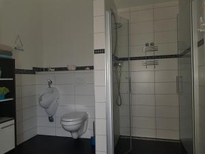 a bathroom with a toilet and a glass shower at Ferienwohnung an der Unditz 2 in Neuried
