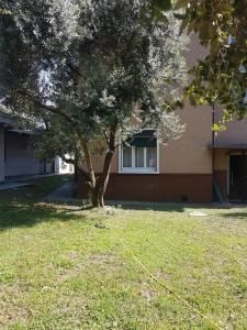 a tree in a yard in front of a building at Angolo di isa in Busto Arsizio