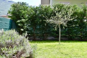 Fotografia z galérie ubytovania LakeGarden Apartment v destinácii Riva del Garda