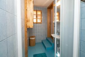 Koupelna v ubytování Apartma waterfall Slap + 13 fotografií