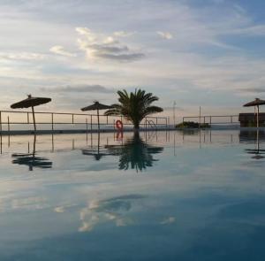 a pool of water with a palm tree and umbrellas at Alojamiento rural la Bellosina in Cabezabellosa